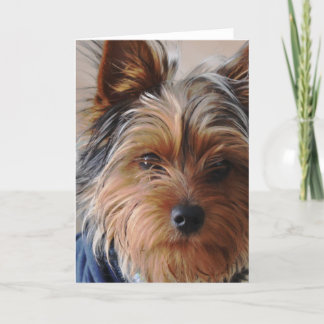 Yorkie Terrier Gruß-Karte Karte