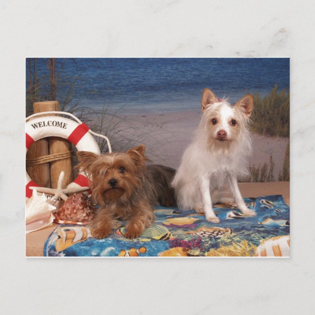 Yorkie und Friends Beach Time Postkarte (Vorderseite)