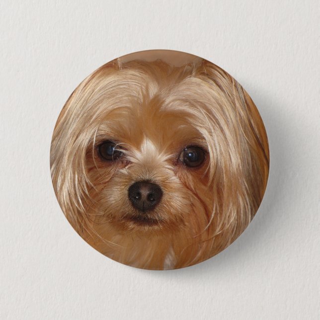 Yorkie Unterseite Button (Vorderseite)