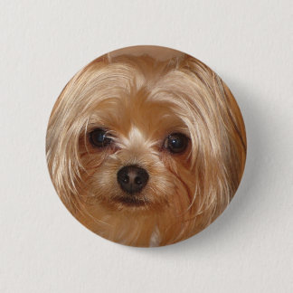 Yorkie Unterseite Button
