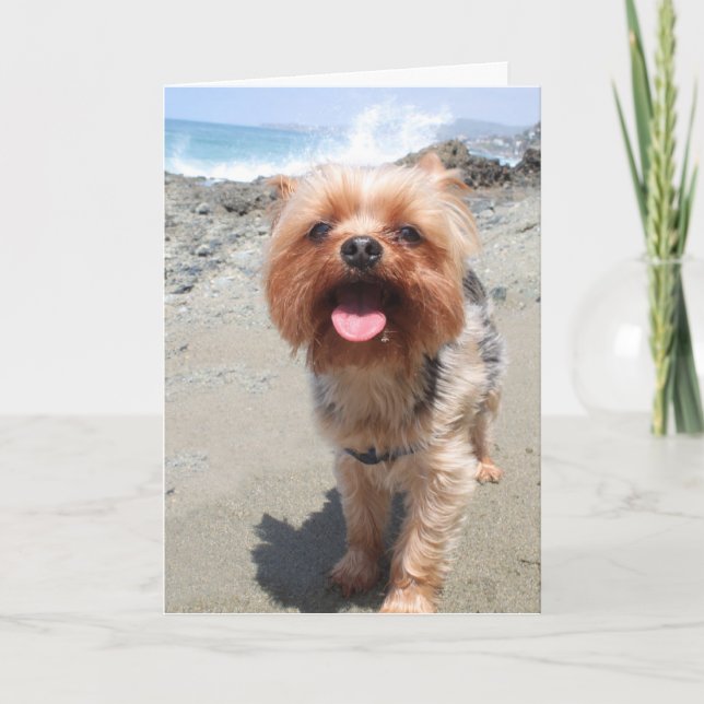 Yorkie vermisst dich karte (Vorderseite)