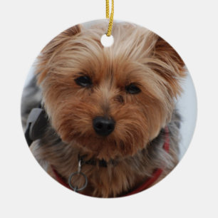 Yorkie Verzierung Keramik Ornament