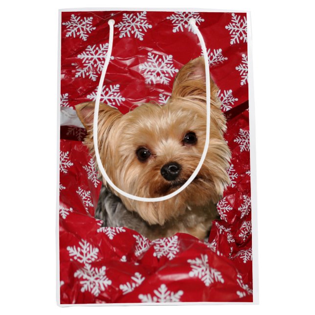 Yorkie Weihnachten Mittlere Geschenktüte (Vorderseite)