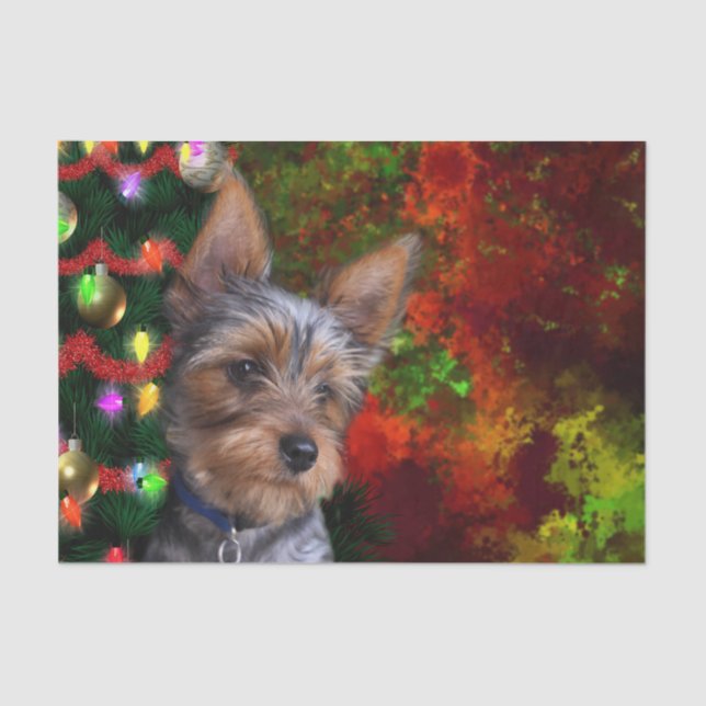 Yorkie Weihnachten Seidenpapier (Vorderseite)