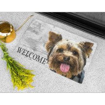 Yorkie Welcome Niedlich Dog Pet Yorkshire Terrier