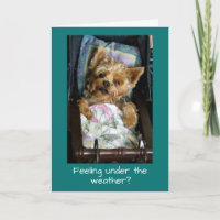 Yorkie Welpe im Kinderwagen