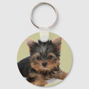 Yorkie Welpe Schlüsselanhänger