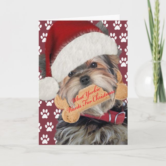 Yorkie will Küsse für Weihnachten (Vorderseite)