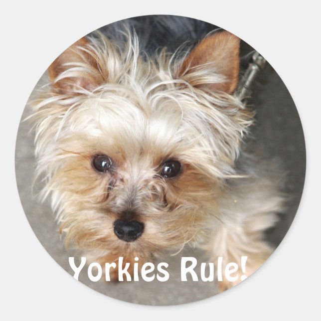 Yorkie, Yorkies Rule! Runder Aufkleber (Vorderseite)