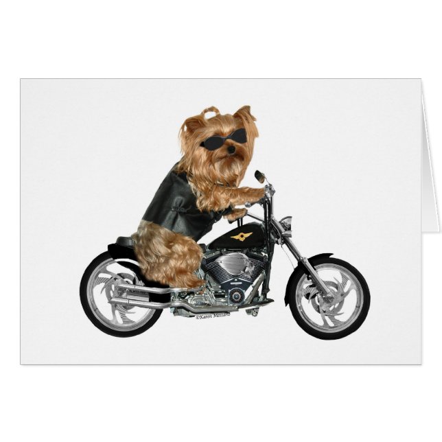 Yorkie Yorkshire Terrier Biker (Vorderseite (Horizontal))