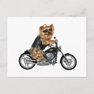 Yorkie Yorkshire Terrier Biker Postkarte