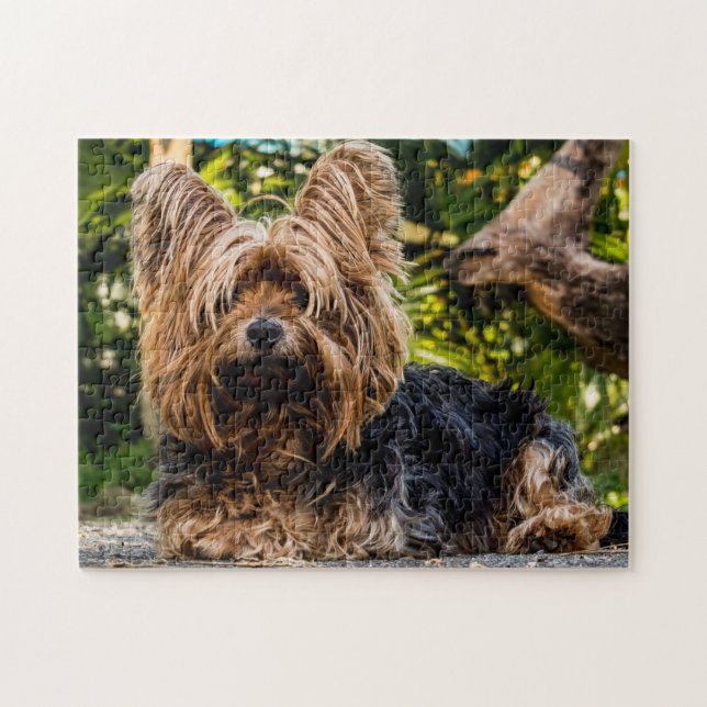 Yorkie Yorkshire Terrier Dog Puzzle (Horizontal)