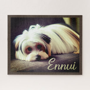 Yorkie, Yorkshire Terrier, Ennui, Puzzle