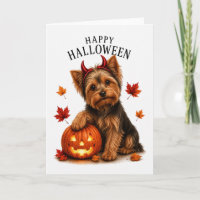 Yorkie Yorkshire Terrier Halloween Teufelshund