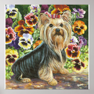 Yorkie Yorkshire Terrier in den Stiefmütterchen Pr Poster