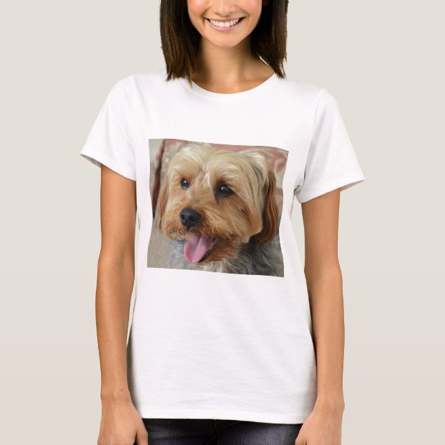 Yorkie Zac T-Shirt (Vorderseite)
