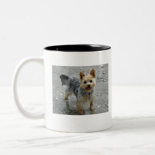 Yorkie Zweifarbige Tasse