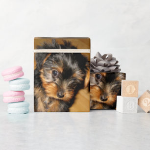 Yorkie's erste Weihnachten Geschenkpapier