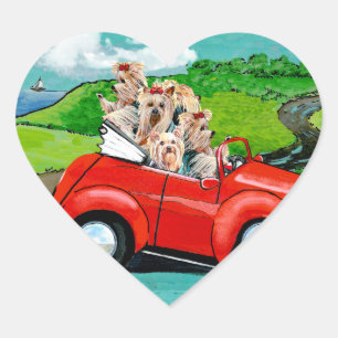 Yorkies in rotem Cabrio-Aufkleber Herz-Aufkleber