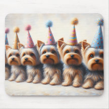 Yorkies mit Party Hats