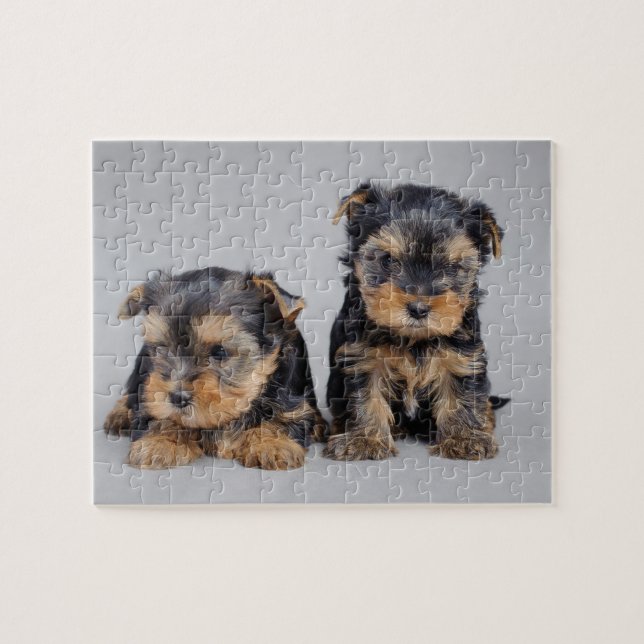 Yorkies Puzzle (Horizontal)