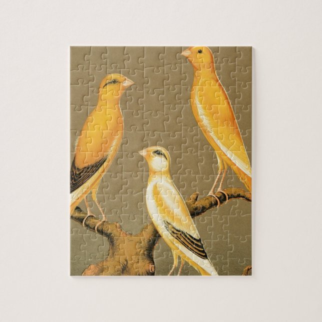 YORKSHIRE CANARIES PUZZLE (Vertikal)
