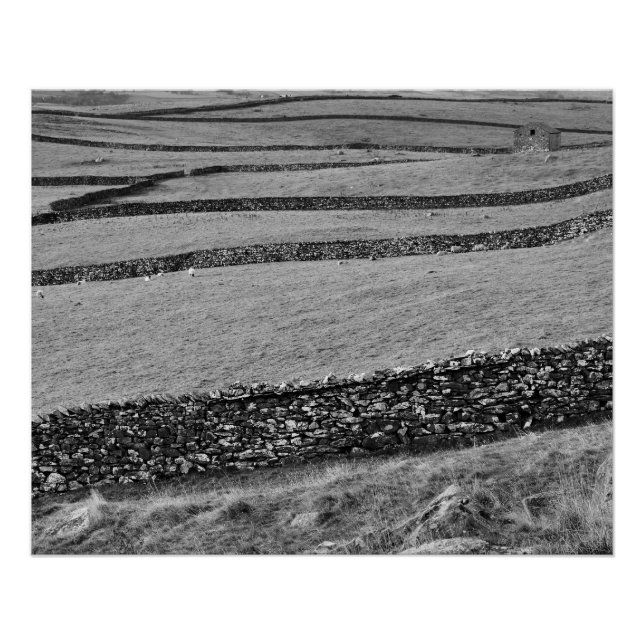 Yorkshire Dales Poster (Vorderseite)