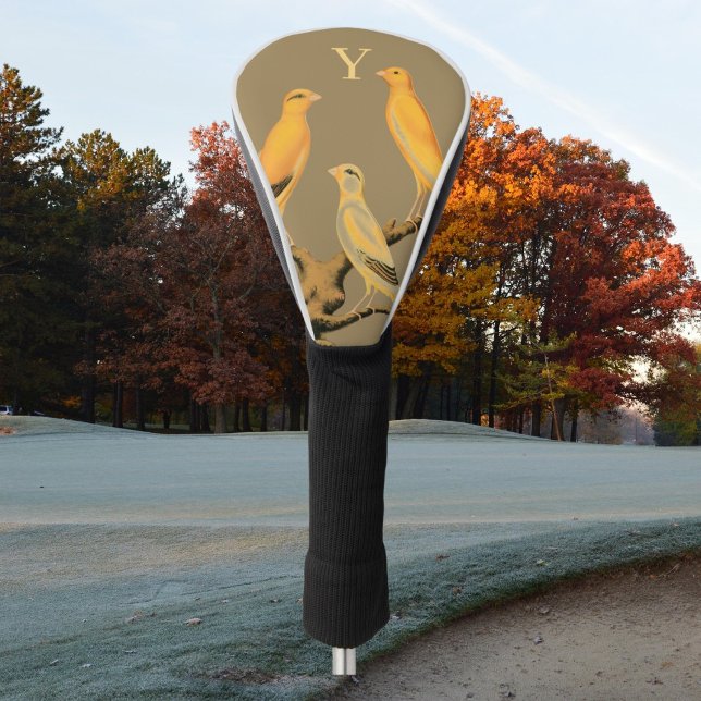 Yorkshire-Kanarienvögel - Golf Headcover (Von Creator hochgeladen)