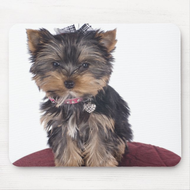 Yorkshire Mousepad (Vorne)