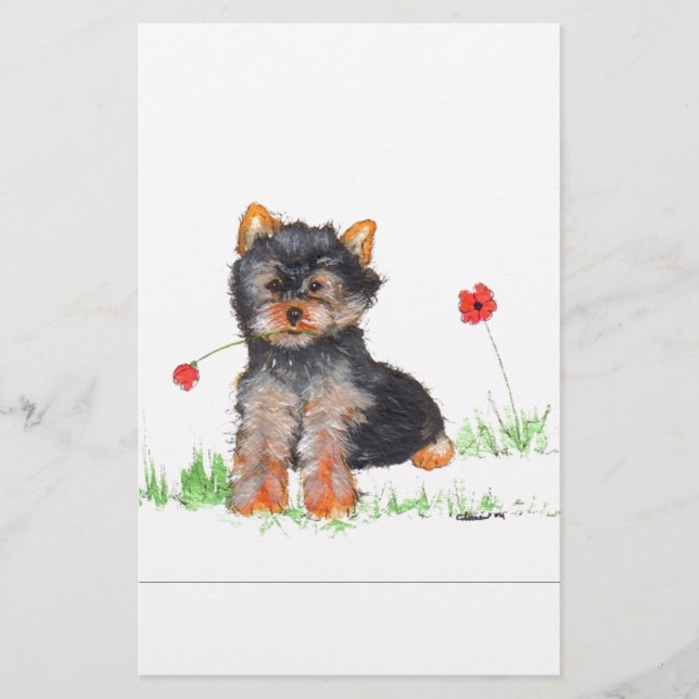 Yorkshire Terrier (Vorderseite)