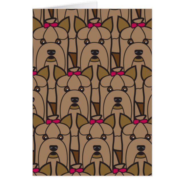 Yorkshire-Terrier (Vorne)