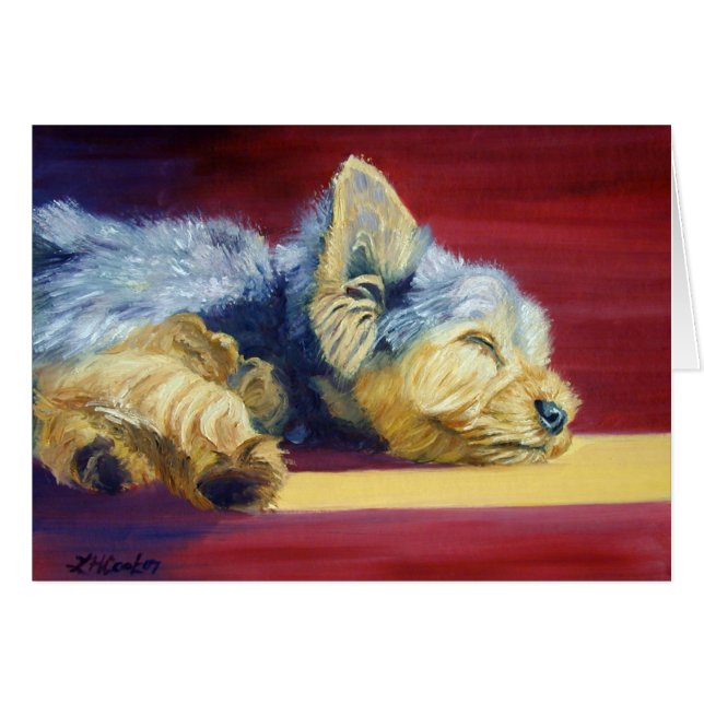 Yorkshire Terrier (Vorderseite (Horizontal))