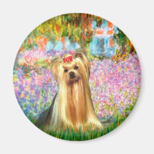 Yorkshire Terrier 1 - Garten Magnet