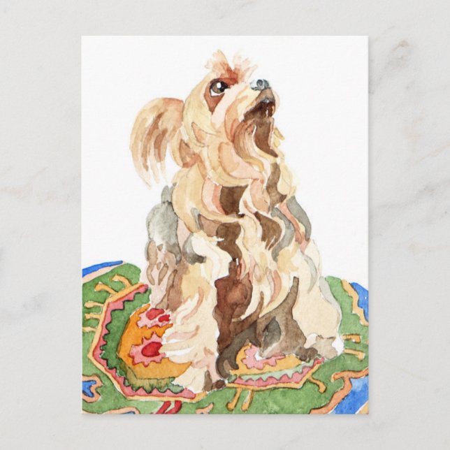 Yorkshire Terrier 2012 Postkarte (Vorderseite)