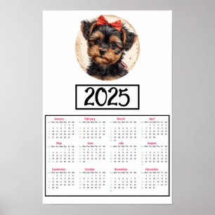 Yorkshire Terrier 2025 - Kalender Poster