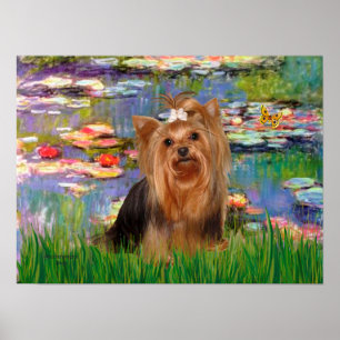 Yorkshire Terrier 7 - Seerosen 2 Poster