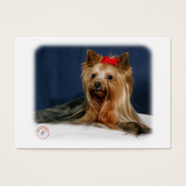 Yorkshire Terrier 9Y110D-064 (Vorderseite)