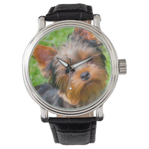 Yorkshire Terrier Armbanduhr