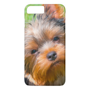 Yorkshire Terrier aufblickend Case-Mate iPhone Hülle