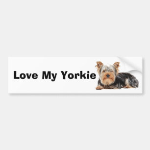 Yorkshire Terrier Autoaufkleber