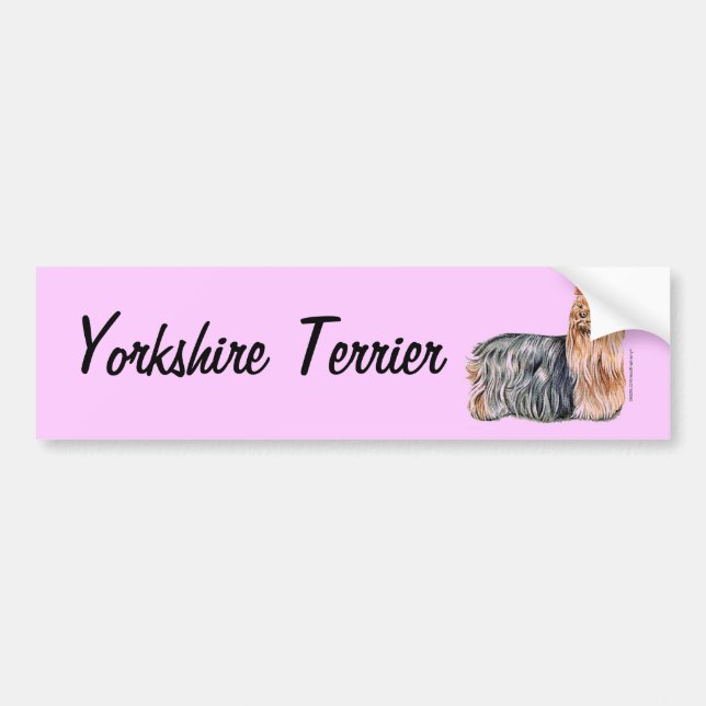Yorkshire Terrier Autoaufkleber (Vorne)