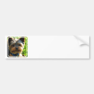 Yorkshire-Terrier-Autoaufkleber Autoaufkleber