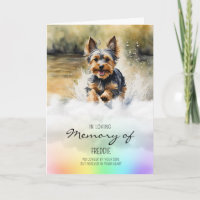 Yorkshire Terrier Beileid für Tierhunde