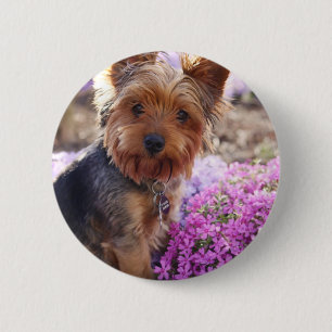 Yorkshire Terrier Button