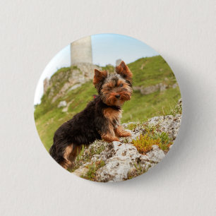 Yorkshire Terrier Button