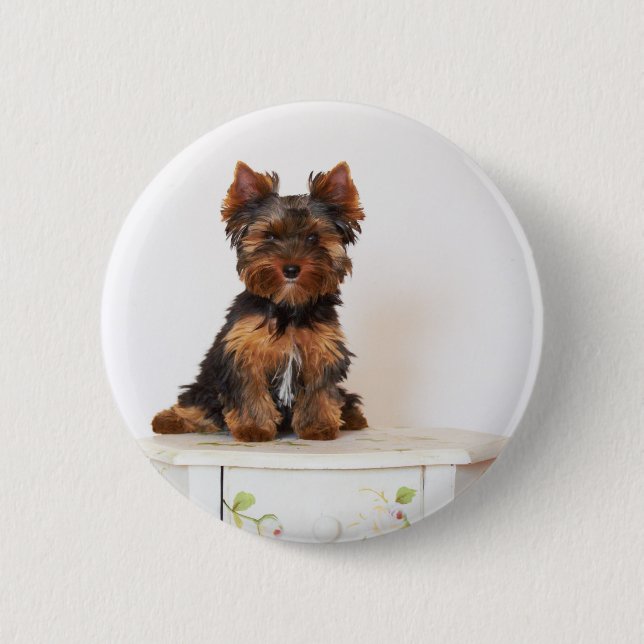 Yorkshire Terrier Button (Vorderseite)