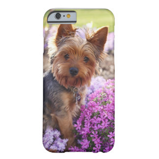 Yorkshire Terrier Barely There iPhone 6 Hülle