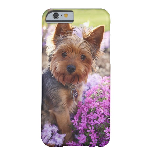 Yorkshire Terrier Case-Mate iPhone Hülle (Rückseite)