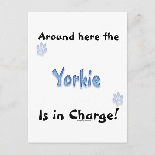 Yorkshire Terrier Charge Postkarte (Vorderseite)