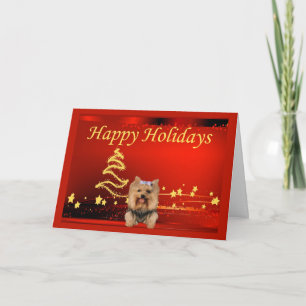 Yorkshire Terrier Christmas Card Stars Feiertagskarte